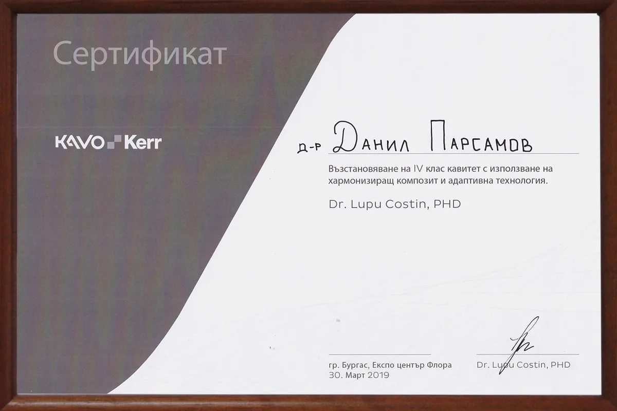 Сертификат доктора Данила Парсамова, 2019
